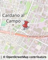 Musica e Canto - Scuole Cardano al Campo,21010Varese
