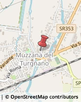 Autofficine e Centri Assistenza Muzzana del Turgnano,33055Udine