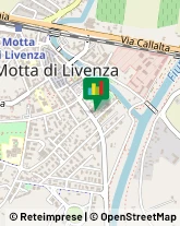 Gelati - Produzione e Commercio Motta di Livenza,31045Treviso