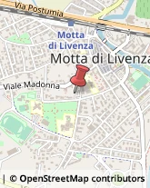 Ingegneri Motta di Livenza,31045Treviso