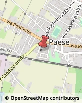 Agenzie di Animazione e Spettacolo Paese,31038Treviso