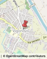Aziende Sanitarie Locali (ASL) Vigonovo,30030Venezia