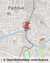 Riproduzione Disegni - Servizio Padova,35122Padova