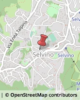 Imprese Edili Selvino,24020Bergamo