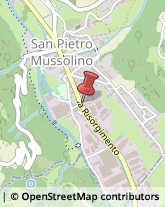 Pelli e Pellami - Produzione e Vendita San Pietro Mussolino,36070Vicenza