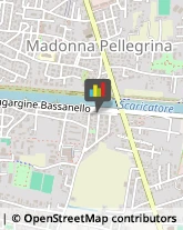 Pelletterie - Ingrosso e Produzione Padova,35124Padova