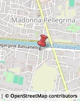 Pelletterie - Ingrosso e Produzione Padova,35124Padova