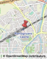 Trasporti Ferroviari Portogruaro,30026Venezia