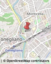 Pizzerie Conegliano,31015Treviso