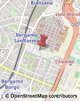 Piante e Fiori - Ingrosso Bergamo,24125Bergamo
