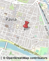Notai Pavia,27100Pavia