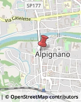 Acquari ed Accessori Alpignano,10091Torino