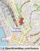 Vivai Piante e Fiori Trieste,34132Trieste