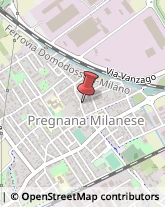 Elettricisti Pregnana Milanese,20010Milano