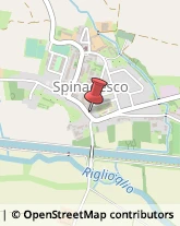 Estetiste Spinadesco,26020Cremona