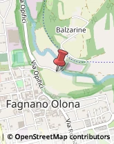 Trasporti Fagnano Olona,21054Varese