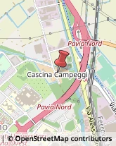 Aziende Agricole Pavia,27100Pavia