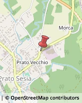 Ricerca Scientifica - Istituti Prato Sesia,28077Novara