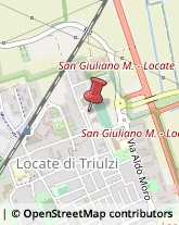 Palestre e Centri Fitness Locate di Triulzi,20085Milano