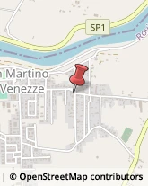 Assicurazioni San Martino di Venezze,45030Rovigo