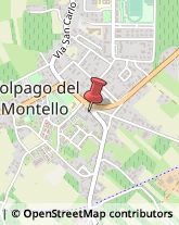 Podologia - Studi e Centri Volpago del Montello,31040Treviso