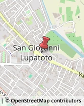 Tour Operator e Agenzia di Viaggi San Giovanni Lupatoto,37057Verona