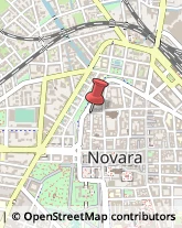 Bulbi e Sementi Novara,28100Novara