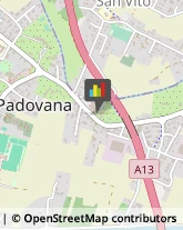 Legna da ardere Noventa Padovana,35027Padova