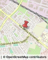 Giardinaggio - Servizio Piacenza,29122Piacenza