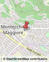 Corrieri Montecchio Maggiore,36075Vicenza