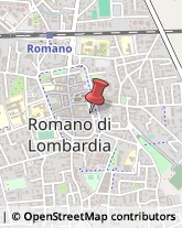 Piercing e Tatuaggi Romano di Lombardia,24058Bergamo