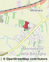 Falegnami Montebello della Battaglia,27054Pavia