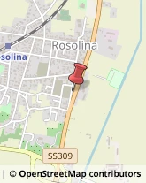 Bulbi e Sementi Rosolina,45010Rovigo