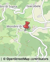 Legna da ardere Monte di Malo,36030Vicenza