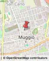 Consulenze Speciali Muggiò,20835Monza e Brianza