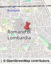 Agenzie di Stampa Romano di Lombardia,24058Bergamo