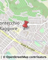 Consulenza Agricoltura e Foresta Montecchio Maggiore,36075Vicenza