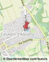 Agricoltura - Attrezzi e Forniture Cavaglio d'Agogna,28010Novara