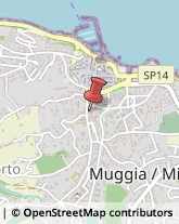 Polizia e Questure Muggia,34121Trieste