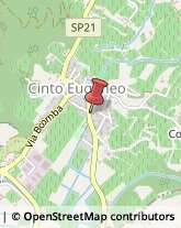 Estetiste Cinto Euganeo,35030Padova