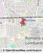 Commercialisti Romano di Lombardia,24058Bergamo