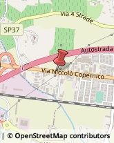 Trasporto Pubblico,37030Verona