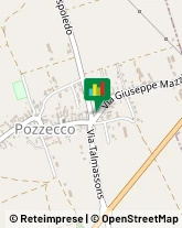 Cereali e Granaglie,33032Udine