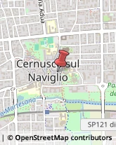 Psichiatria e Neurologia - Medici Specialisti Cernusco sul Naviglio,20063Milano