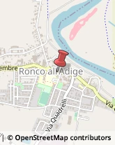 Estetiste Ronco all'Adige,37055Verona