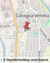 Scuole Pubbliche Cologna Veneta,37044Verona