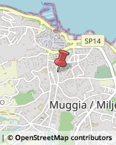 Università ed Istituti Superiori Muggia,34015Trieste