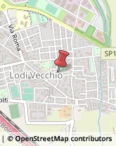 Autotrasporti Lodi Vecchio,26855Lodi
