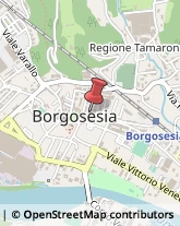 Alimentari Borgosesia,13011Vercelli