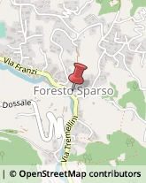 Poste Foresto Sparso,24060Bergamo